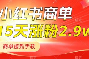 （8308期）小红书商单最新玩法，新号15天2.9w粉，商单接到手软，1分钟一篇笔记