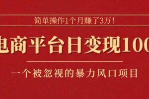 （11160期）简单操作1个月赚了3万！在电商平台日变现1000+！一个被忽视的暴力风口…