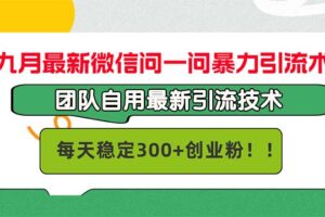 （12735期）九月最新微信问一问暴力引流术，团队自用引流术，每天稳定300+创…