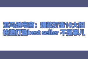 （11431期）亚马逊电商：爆款打造10大招，快速打造best seller 不是事儿