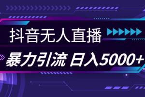 （11709期）抖音无人直播，暴利引流，日入5000+