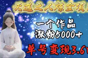 （9693期）天选之人炼金项目，一个作品涨粉5000+，单号变现3.6w