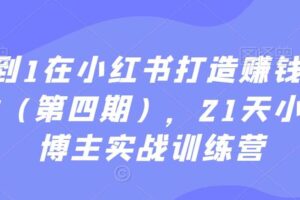 从0到1在小红书打造赚钱的个人IP，21天小红书博主实战训练营