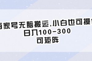 （6496期）百家号无脑搬运,小白也可操作，日入100-300，可矩阵