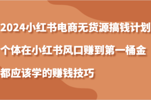 2024小红书电商无货源搞钱计划，个体在小红书风口赚到第一桶金应该学的赚钱技巧