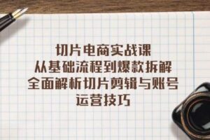 （13179期）切片电商实战课：从基础流程到爆款拆解，全面解析切片剪辑与账号运营技巧