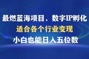 （12941期）最燃蓝海项目  数字IP孵化  适合各个行业变现  小白也能日入5位数