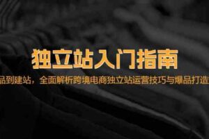 独立站入门指南：从选品到建站，全面解析跨境电商独立站运营技巧与爆品打造方法