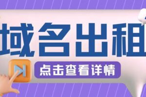 冷门项目，域名出租玩法，简单粗暴适合小白【揭秘】