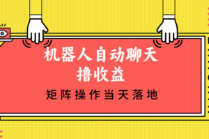 （12908期）机器人自动聊天撸收益，单机日入500+矩阵操作当天落地