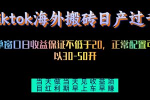 （13079期）tiktok海外搬砖项目单机日产过千当天做当天见收益