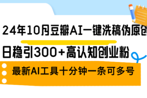 （12871期）24年10月豆瓣AI一键洗稿伪原创，日稳引300+高认知创业粉，最新AI工具十…