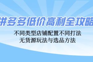 （12897期）拼多多低价高利全攻略：不同类型店铺配置不同打法，无货源玩法与选品方法