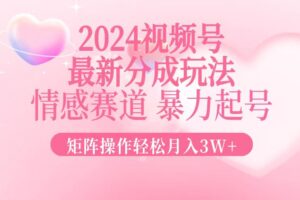 （12922期）2024最新视频号分成玩法，情感赛道，暴力起号，矩阵操作轻松月入3W+