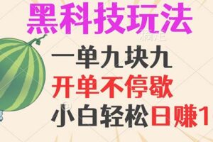 （13046期）黑科技玩法，一单利润9.9，一天轻松100单，日赚1000＋的项目，小白看完…