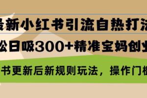 （13145期）最新小红书引流自热打法，轻松日吸300+精准宝妈创业粉，小红书更新后新…