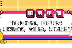 （12814期）2024淘宝电商课程：详解直通车、自然搜索、引力魔方、万相台，打造爆款