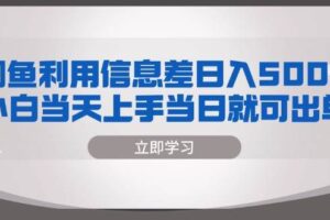 （13170期）闲鱼利用信息差 日入500+  小白当天上手 当日就可出单