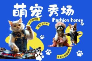 酷飒动物跳舞走秀，时尚喵FASHION汪， 多金小姐姐最爱的，轻松月入破W【揭秘】