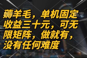 （13162期）薅羊毛项目，单机三十元，做就有，可无限矩阵 无任何难度