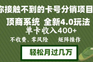 （12917期）年底卡号分销顶商系统4.0玩法，单卡收入400+，0门槛，无脑操作，矩阵操…