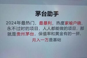 （13051期）魔法贵州茅台代理，永不淘汰的项目，抛开传统玩法，使用科技，命中率极…