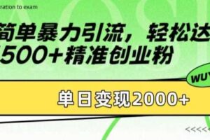 简单暴力引流，轻松达到日引500+精准创业粉，单日变现2k【揭秘】