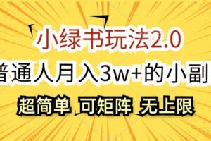 小绿书玩法2.0，超简单，普通人月入3w+的小副业，可批量放大