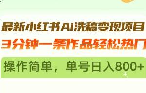 （13182期）最新小红书Ai洗稿变现项目 3分钟一条作品轻松热门 操作简单，单号日入800+