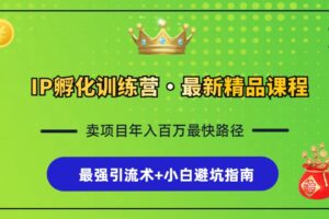 （13055期）IP孵化训练营，知识付费全流程+最强引流术+小白避坑指南