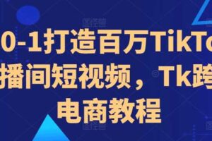 从0-1打造百万TikTok直播间短视频，Tk跨境电商教程