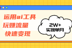 （12955期）运用AI工具玩赚流量快速变现 实操单月2w+