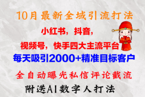 （12921期）10月最新小红书，抖音，视频号，快手四大平台全域引流，，每天吸引2000…