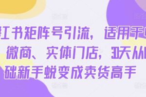 小红书矩阵号引流，适用于电商、微商、实体门店，30天从0基础新手蜕变成卖货高手