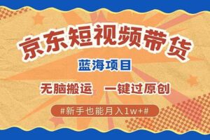 （13349期）最新京东短视频蓝海带货项目，无需剪辑无脑搬运，一键过原创，有手就能…