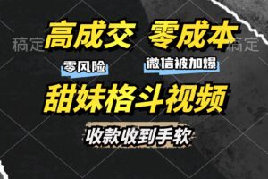 （13384期）高成交零成本，售卖甜妹格斗视频，谁发谁火，加爆微信，收款收到手软