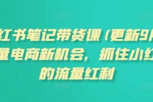 小红书笔记带货课(更新11月)流量电商新机会，抓住小红书的流量红利