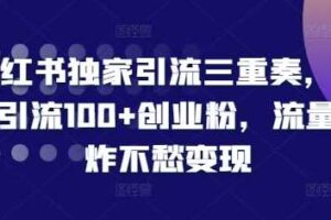 小红书独家引流三重奏，当天引流100+创业粉，流量爆炸不愁变现【揭秘】