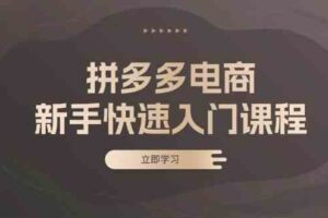 拼多多电商新手快速入门课程：涵盖基础、实战与选款，助力小白轻松上手