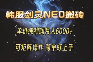 （13435期）韩服剑灵NEO搬砖攻略，单机纯利润月入6000+ 可矩阵操作，简单好上手。