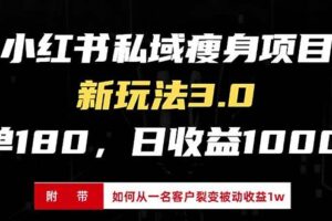 （13348期）小红书瘦身项目3.0模式，新手小白日赚收益1000+（附从一名客户裂变收益…