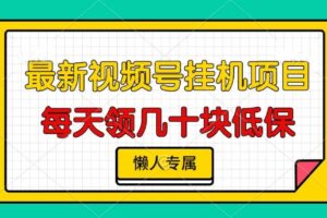 （13452期）视频号挂机项目，每天几十块低保，懒人专属