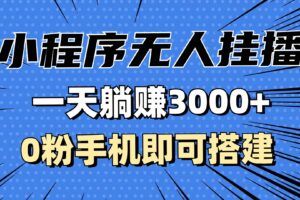 （13209期）抖音小程序无人挂播，一天躺赚3000+，0粉手机可搭建，不违规不限流，小…