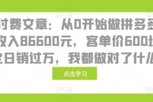 某付费文章：从0开始做拼多多18天收入86600元，客单价600块稳定日销过万，我都做对了什么?