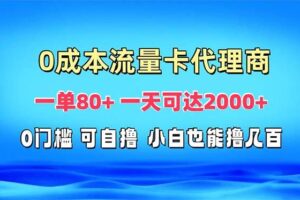 （13391期）免费流量卡代理一单80+ 一天可达2000+