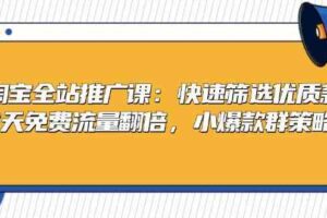 淘宝全站推广课：快速筛选优质款，7天免费流量翻倍，小爆款群策略