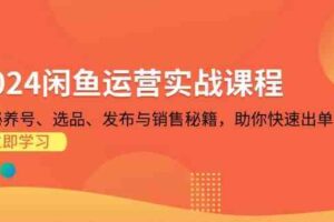 2024闲鱼运营实战课程：揭秘养号、选品、发布与销售秘籍，助你快速出单