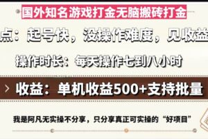 （13307期）国外知名游戏打金无脑搬砖单机收益500，每天操作七到八个小时