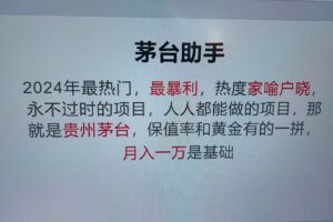 （13217期）魔法贵州茅台代理，永不淘汰的项目，抛开传统玩法，使用科技，命中率极…