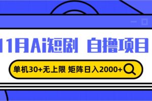 （13375期）11月ai短剧自撸，单机30+无上限，矩阵日入2000+，小白轻松上手